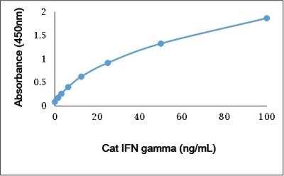 ELISA: IFN-gamma Antibody [NBP3-11362]