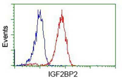 Flow Cytometry: IMP2/IGF2BP2 Antibody (OTI3F9) [NBP2-02627]