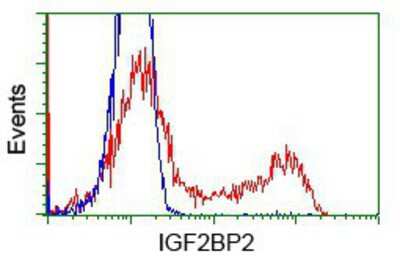 Flow Cytometry: IMP2/IGF2BP2 Antibody (OTI3F9) [NBP2-02627]