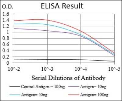 ELISA: IGFBP-rp1/IGFBP-7 Antibody (1D9E7) - BSA Free [NBP2-37313]