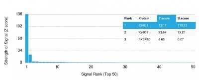 Protein Array: IgG Heavy Chain Antibody (IG507R) - Azide and BSA Free [NBP2-54458]