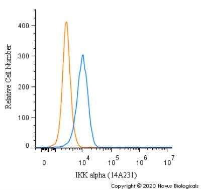 Flow Cytometry: IKK alpha Antibody (14A231) - BSA Free [NB100-56704]