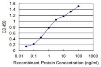 ELISA: IKK alpha Antibody (4D11) [H00001147-M01]