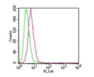 Flow Cytometry: IKK beta Antibody (10A9B6) - Azide Free [NBP2-33214]