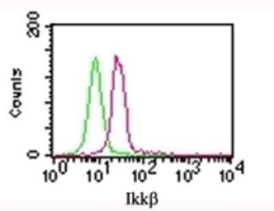 Flow Cytometry: IKK beta Antibody (10AG2) - Azide and BSA Free [NBP2-80788]