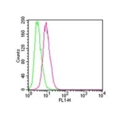 Flow Cytometry: IKK beta Antibody (10AG2) - BSA Free [NB100-56509]