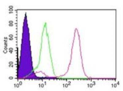 Flow Cytometry: IKK gamma Antibody (46B844) [NB100-56532]