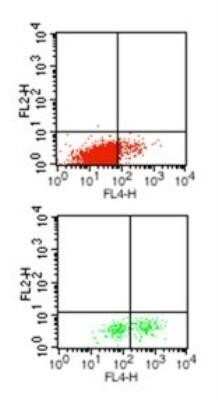 Flow Cytometry: IL-1 beta/IL-1F2 Antibody (43N3D8) - Azide and BSA Free [NBP2-80793]