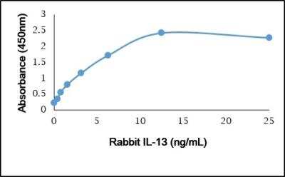ELISA: IL-13 Antibody [NBP3-11318]