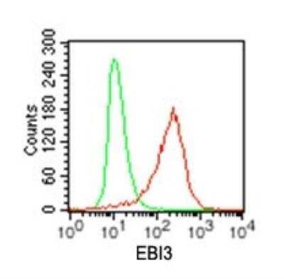Flow Cytometry: EBI3 Antibody (42N1G4) [NBP2-27356]