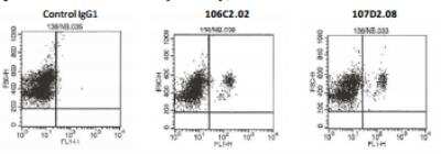Flow Cytometry: IL-3R alpha/CD123 Antibody (107D2.08) [DDX0300P-100]