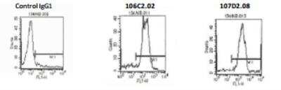 Flow Cytometry: IL-3R alpha/CD123 Antibody (107D2.08) [DDX0300P-100]