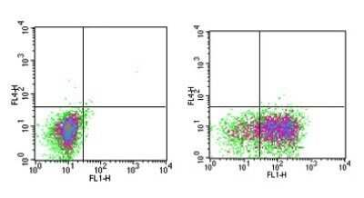 Flow (Intracellular): IL-3R alpha/CD123 Antibody (6H6) - BSA Free [NB600-1185]