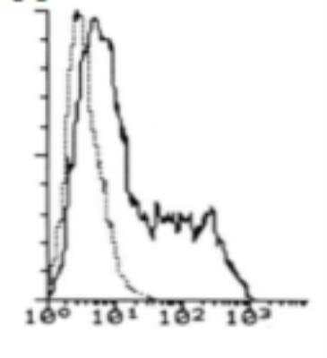 Flow Cytometry: IL-7R alpha/CD127 Antibody (R34-34) [DDX0700P-100]