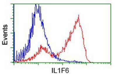 Flow Cytometry: IL-36 alpha/IL-1F6 Antibody (OTI1A4) [NBP2-02758]