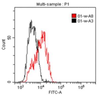 Flow Cytometry: IL1RAPL1 Antibody (B-L43) - Azide and BSA Free [NBP3-18110]