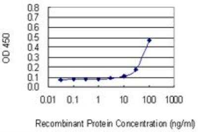 ELISA: ILT4/CD85d/LILRB2 Antibody (1D4) [H00010288-M01]