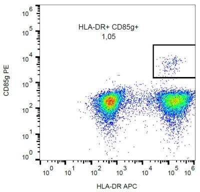 Flow (Cell Surface): ILT7/CD85g/LILRA4 Antibody (17G10.2) - Low Endotoxin [NBP2-62226]