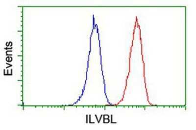Flow Cytometry: ILVBL Antibody (OTI8B12) [NBP2-00883]