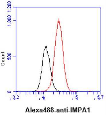 Flow Cytometry: IMPA1 Antibody (2G5) - BSA Free [NBP2-59416]