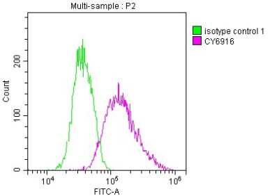 Flow Cytometry: IRAK4 Antibody (10H4) [NBP3-15153]