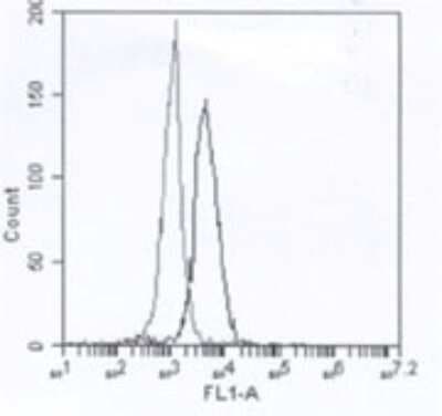 Flow Cytometry: IRAK4 Antibody (6F8) [DDX0340P-100]