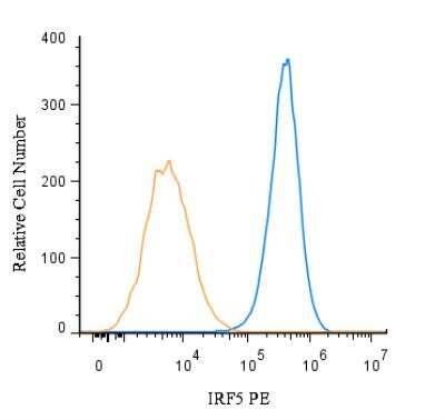 Flow (Intracellular): IRF5 Antibody (10T1) - BSA Free [NBP1-04307]