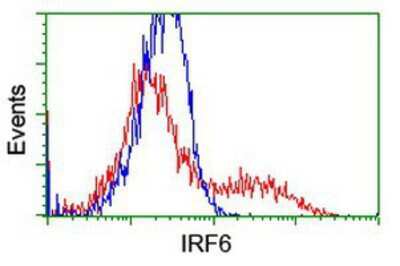 Flow Cytometry: IRF6 Antibody (OTI2C10) [NBP2-00949]