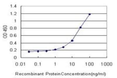 ELISA: IRX3 Antibody (1D7) [H00079191-M05]