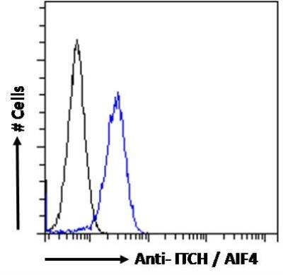 Flow Cytometry: ITCH/AIP4 Antibody [NB100-68142]