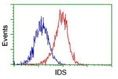 Flow Cytometry: Iduronate 2-Sulfatase/IDS Antibody (OTI4G2) [NBP2-01761]