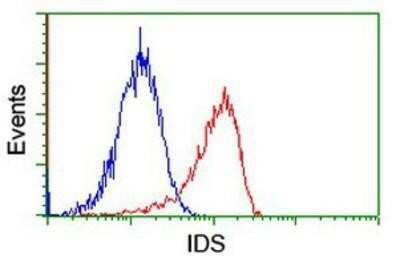 Flow Cytometry: Iduronate 2-Sulfatase/IDS Antibody (OTI1D9) - Azide and BSA Free [NBP2-70994]