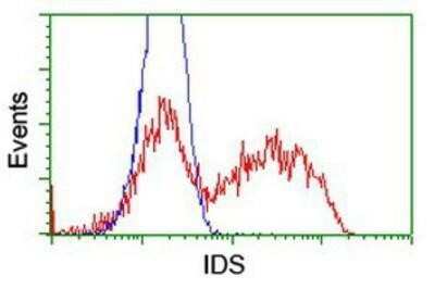 Flow Cytometry: Iduronate 2-Sulfatase/IDS Antibody (OTI4G2) - Azide and BSA Free [NBP2-70996]