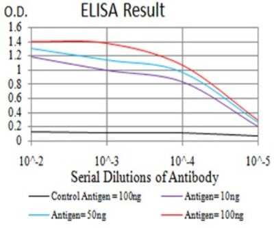 ELISA: IgA Antibody (7D5F12) - BSA Free [NBP2-61794]