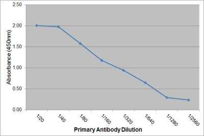 ELISA: IgE Antibody (7H2) [NBP3-11624]