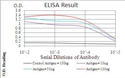 ELISA: IkB-alpha Antibody (4D4F2) - BSA Free [NBP2-52518]