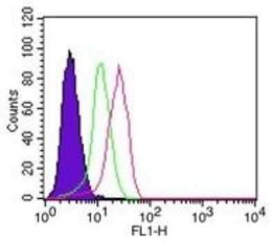Flow Cytometry: IkB-alpha Antibody (6A920) - Azide and BSA Free [NBP2-80787]