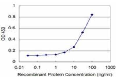ELISA: IkB-beta Antibody (3E11) [H00004793-M03]