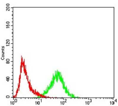 Flow Cytometry: Importin alpha 2/KPNA2 Antibody (1E8B7) - BSA Free [NBP2-52501]