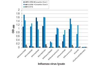 ELISA: Influenza B nucleoprotein Antibody (HL1068) - (B/Taiwan/753/2005) [NBP3-13708]