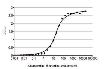 ELISA: Influenza B nucleoprotein Antibody (HL1068) - (B/Taiwan/753/2005) [NBP3-13708]