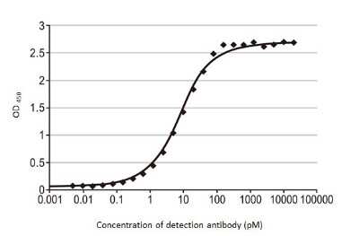 ELISA: Influenza B nucleoprotein Antibody (HL1069) - (B/Taiwan/753/2005) [NBP3-13709]