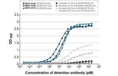 ELISA: Influenza B nucleoprotein Antibody (HL1069) - (B/Taiwan/753/2005) [NBP3-13709]