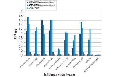 ELISA: Influenza B nucleoprotein Antibody (HL1073) - (B/Taiwan/753/2005) [NBP3-13713]