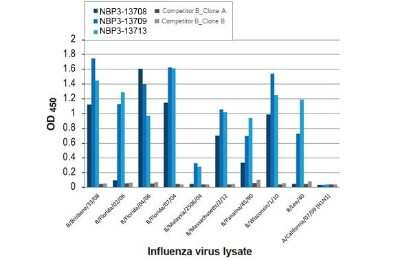 ELISA: Influenza B nucleoprotein Antibody (HL1073) - (B/Taiwan/753/2005) [NBP3-13713]