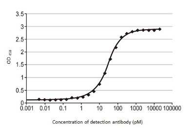 ELISA: Influenza B nucleoprotein Antibody (HL1073) - (B/Taiwan/753/2005) [NBP3-13713]