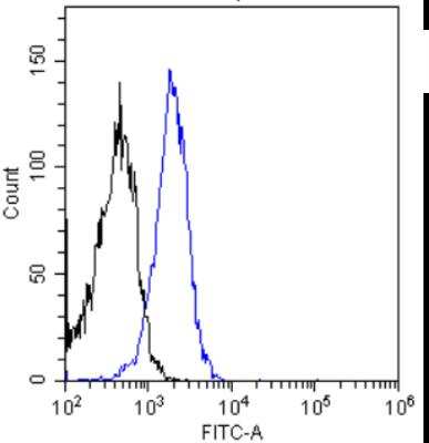 Flow Cytometry: Insulin R/CD220 Antibody (83-7) - Chimeric - Azide and BSA Free [NBP2-81039]