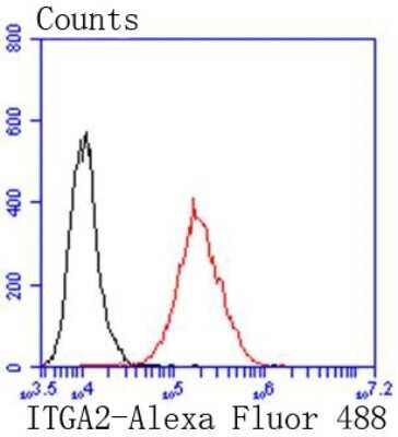 Flow Cytometry: Integrin alpha 2/CD49b Antibody (SN0752) [NBP2-67691]