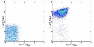 Flow Cytometry: Integrin alpha 2b/CD41 Antibody (MWReg30) - BSA Free [NBP1-43415]