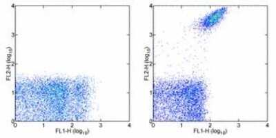 Flow Cytometry: Integrin alpha 2b/CD41 Antibody (MWReg30) - BSA Free [NBP1-43415]